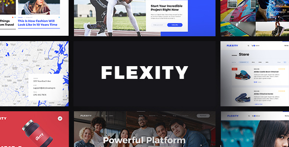 Flexity - Multi-Purpose - ThemeForest 19539998