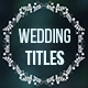 Wedding Titles - VideoHive Item for Sale