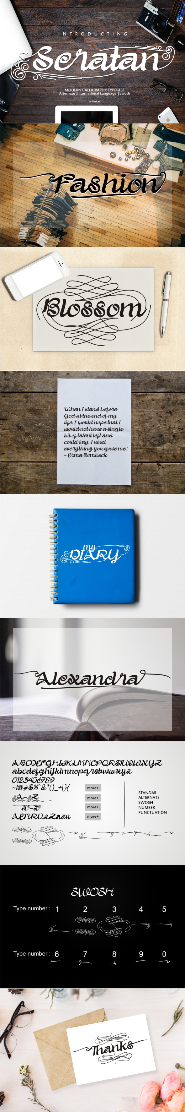 Seratan - Script Fonts