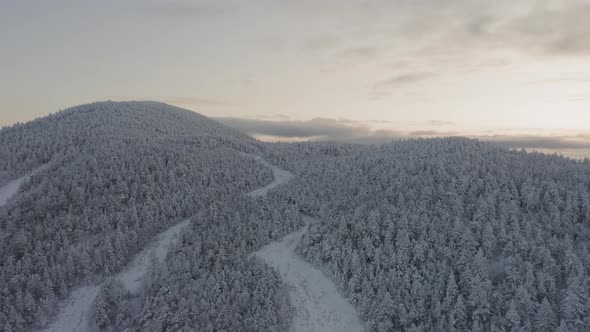 Old grown in ski trails wind around the top of a snow crusted mountain AERIAL alt