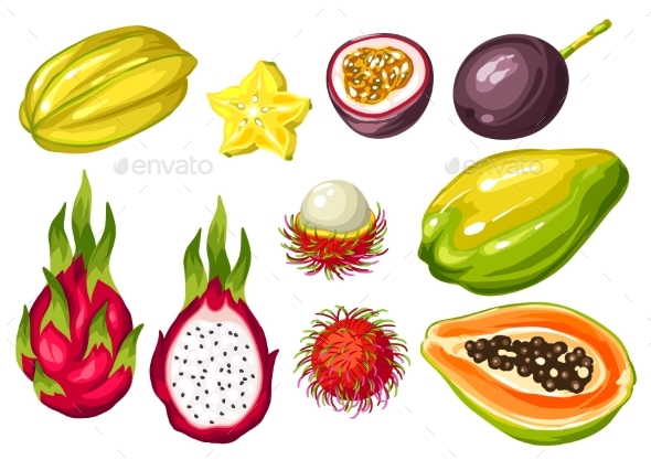 Exotic Tropical Fruits Set. Illustration of Asian - Food Objects