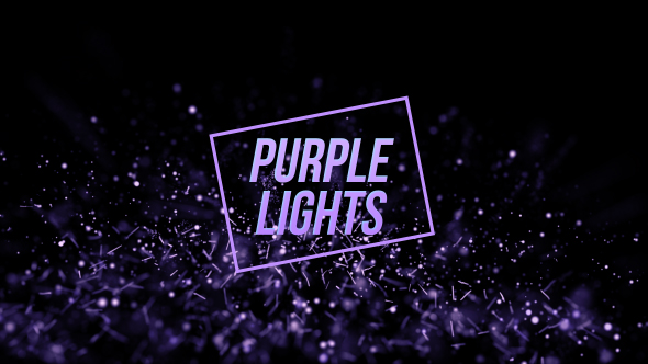 Purple Lights Loop