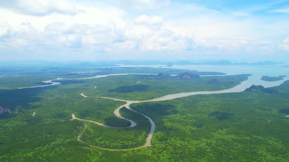 Drones are flying over winding rivers and large mangrove forests alt