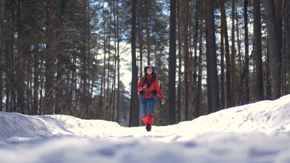 Beautiful Young Woman Hiking with a Backpack in Beautiful Winter Forest. alt