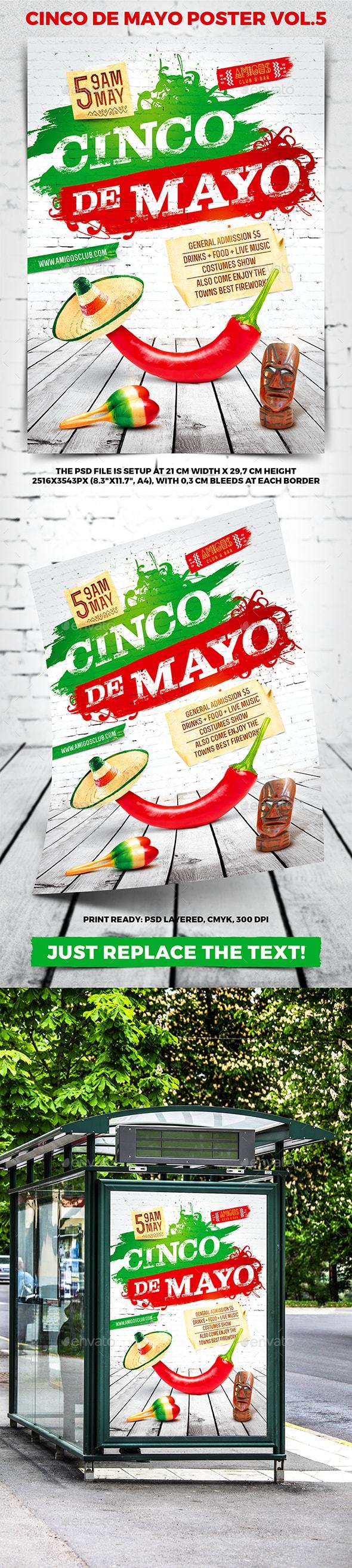 Cinco de Mayo Party Poster vol.5 - Holidays Events