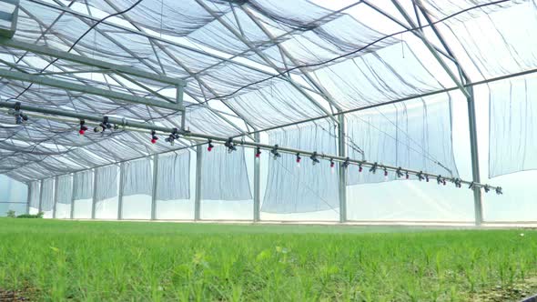 Watering Machine Irrigating Plants in Greenhouse. Agricultural Equipment alt