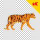 4K Tiger Walk Cycle - VideoHive Item for Sale