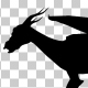 Dragon Silhouette Dragon Silhouette - VideoHive Item for Sale