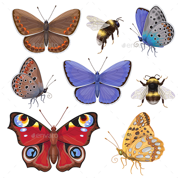 Set of Butterflies and Bumblebees - Animals Characters