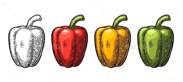 Sweet Bell Pepper - Food Objects