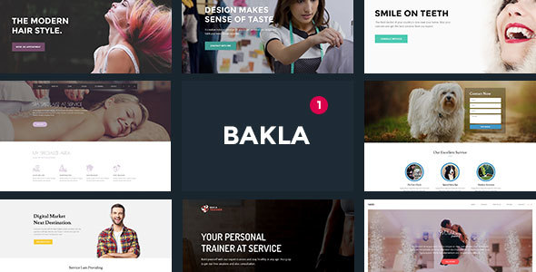 Bakla - Multipurpose Business Landing Page