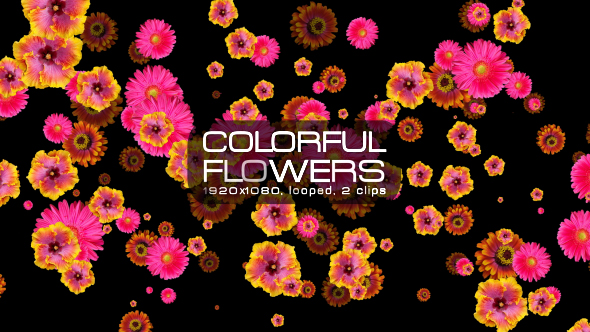 Colorful Flowers VJ Pack alt