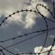 Barbed Wire Fence Against Blue Sky. - VideoHive Item for Sale