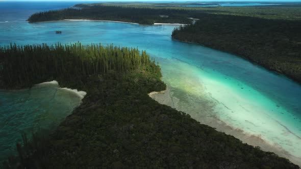 Aerial tracking shot over sunlit tropical island, columnar pine trees, Oro Bay, Isle of Pines. alt