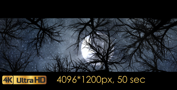 Moon And Scary Trees alt