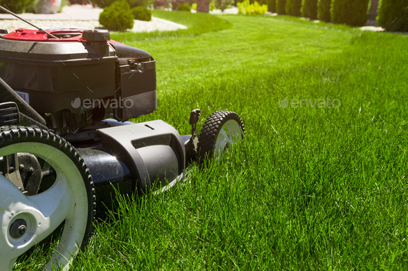 Lawn mower - Stock Photo - Images