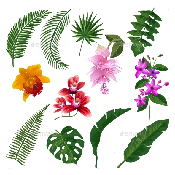 Set of Tropical Flowers Bouquet - Organic Objects Objects