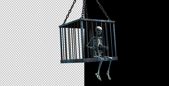Human Skeleton In Lattice alt