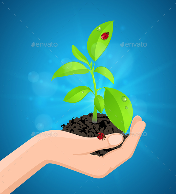 Green Plant in Hand - Flowers & Plants Nature