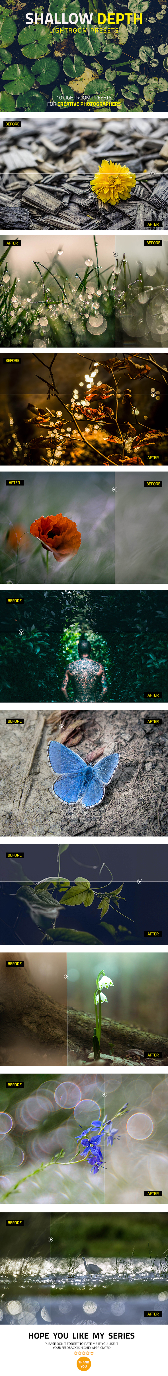 Shallow Depth Lightroom Presets - Lightroom Presets Add-ons