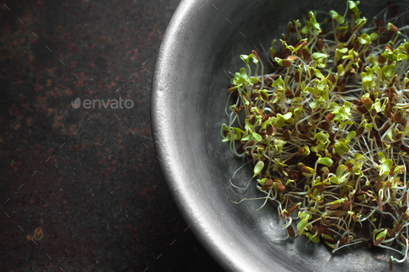 Flax sprouts in a bowl on a metal table top view - Stock Photo - Images