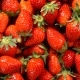 Rotating Background of Strawberry - VideoHive Item for Sale