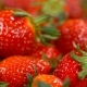 Rotating Background of Strawberry - VideoHive Item for Sale