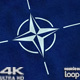 Nato Flag 4K - VideoHive Item for Sale