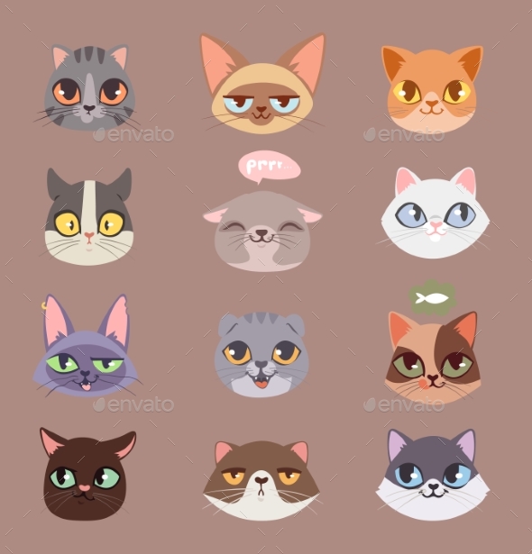 Cats Vector Heads Illustration - Animals Characters