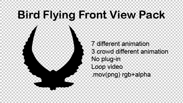 Bird Flying Front View Pack by light-r-won | VideoHive