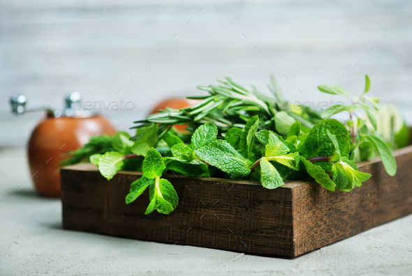 Herb - Stock Photo - Images