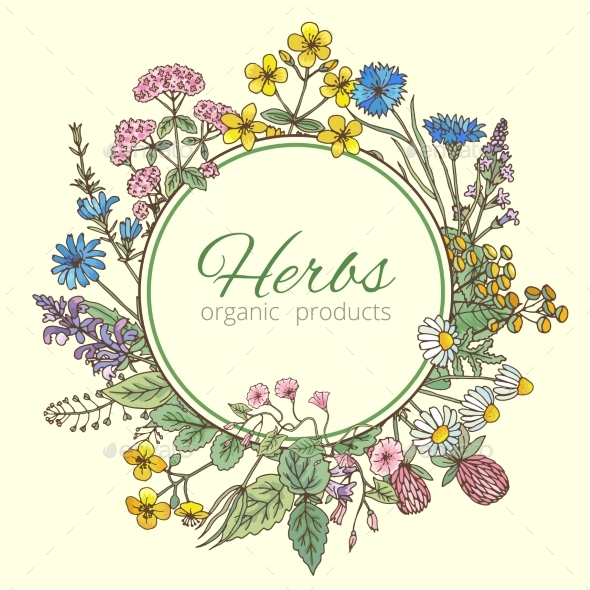 Illustration in Circle Shape of Herbs - Organic Objects Objects