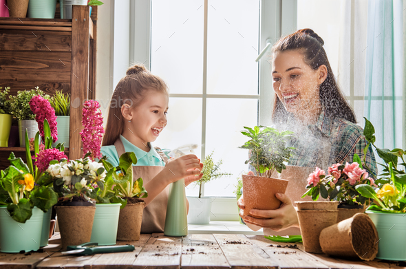Mom and daughter engaged in gardening - Stock Photo - Images