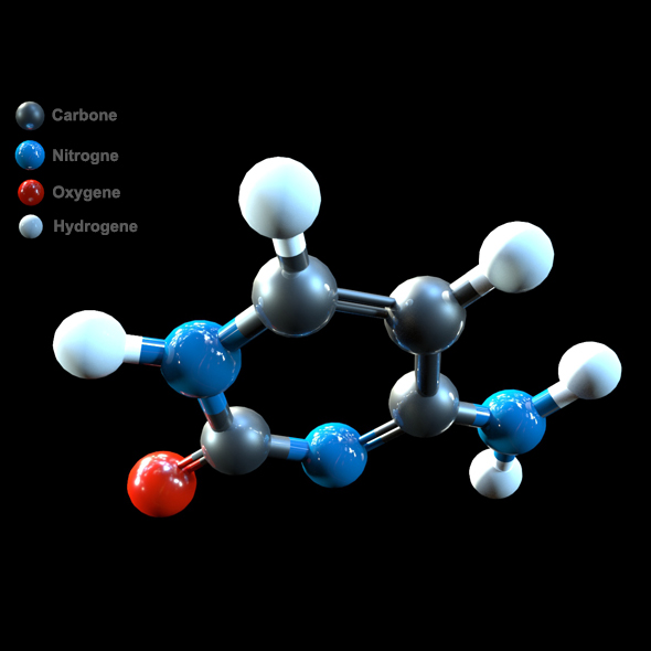 DNA Cytosine - 3Docean 19803388