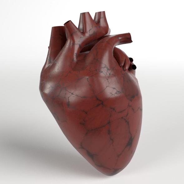 Anatomy - Human Heart - 3DOcean Item for Sale