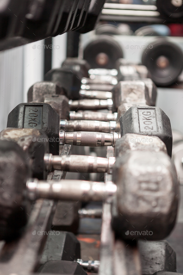 Weights in the row in a gym Stock Photo by DC_Studio | PhotoDune