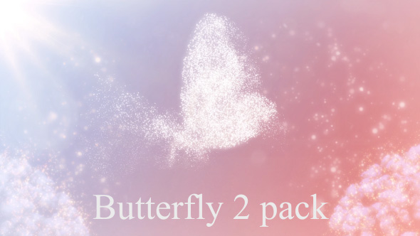 Butterfly  Flying  Slow alt