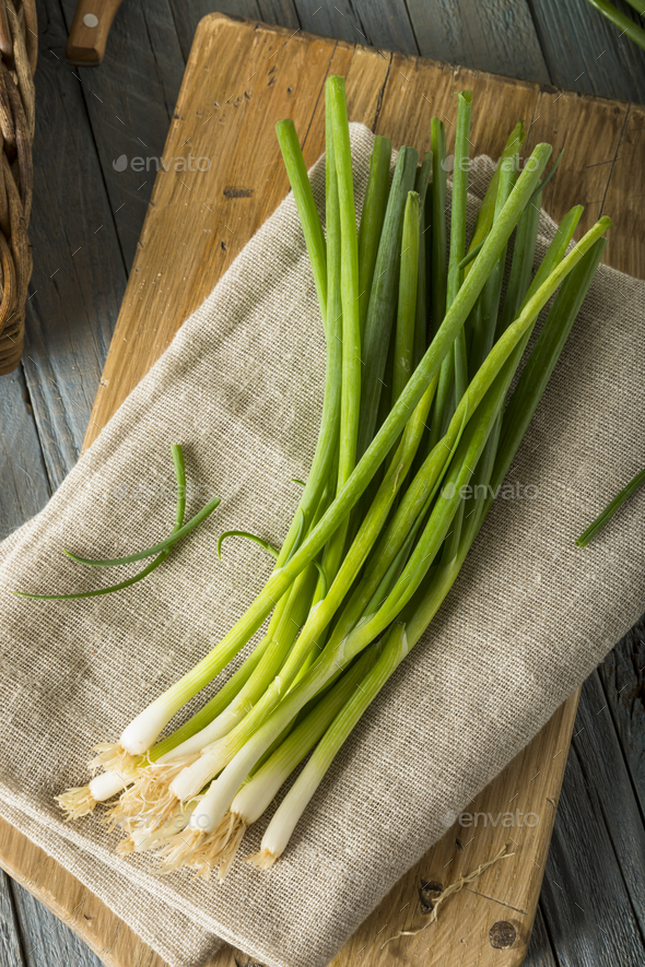 Raw Organic Green Onions - Stock Photo - Images