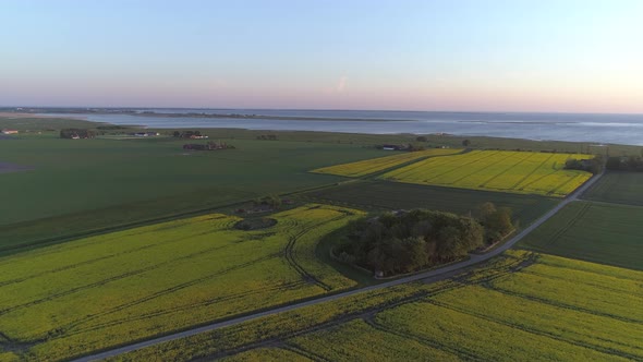 Aerial View of Rapeseed Fields and Sea