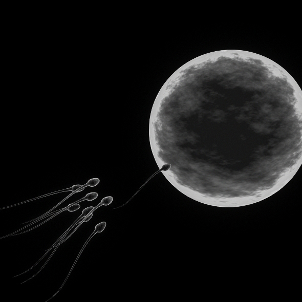 Sperm - 3Docean 19822916