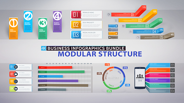 Business Infographics Bundle