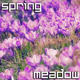 Spring Meadow - VideoHive Item for Sale
