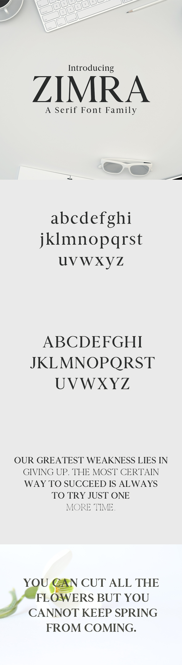 Zimra Serif Font Family - Sans-Serif Fonts
