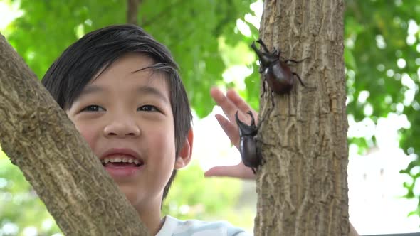Cute Asian Child Playing With Rhinoceros Beetle In The Forest alt