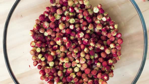 Time lapse pick strawberries