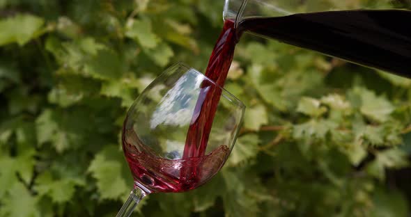 900117 Red Wine being poured into Glass, Slow motion 4K alt