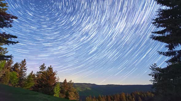 Star Trails In Night Sky in forest.Stars move around a polar star.