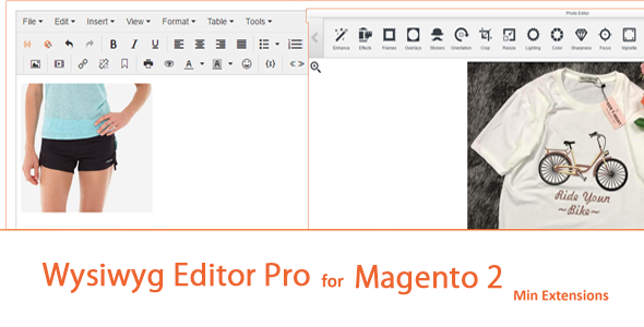 Wysiwyg Editor Pro For Magento 2 - CodeCanyon Item for Sale