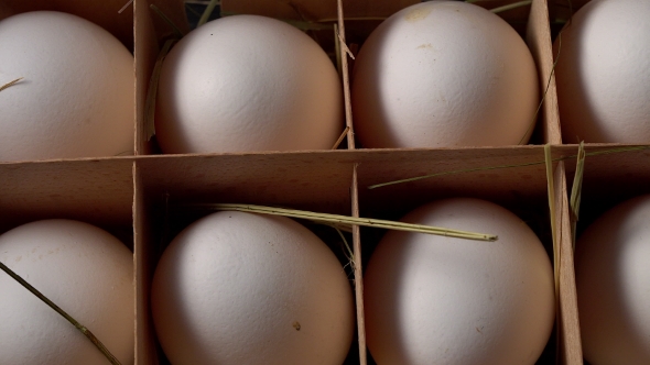 Pack Variety of Fresh Farm Eggs in Cardboard Carton, .