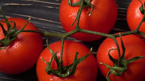 Heap of Ripe Juicy Tomatoes Covered By Drops of Water.